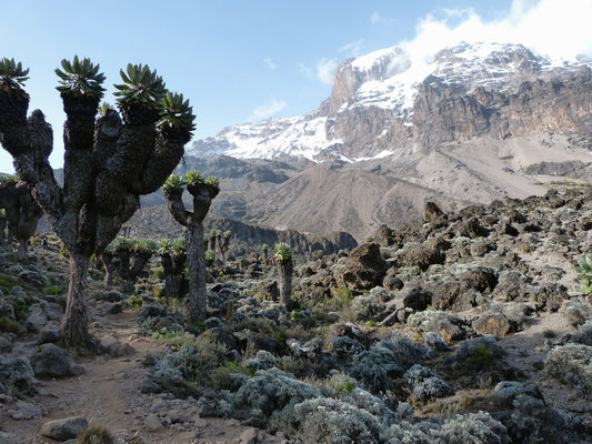 Kilimanjaro: Routes, Realities & What Stays With You After the Climb