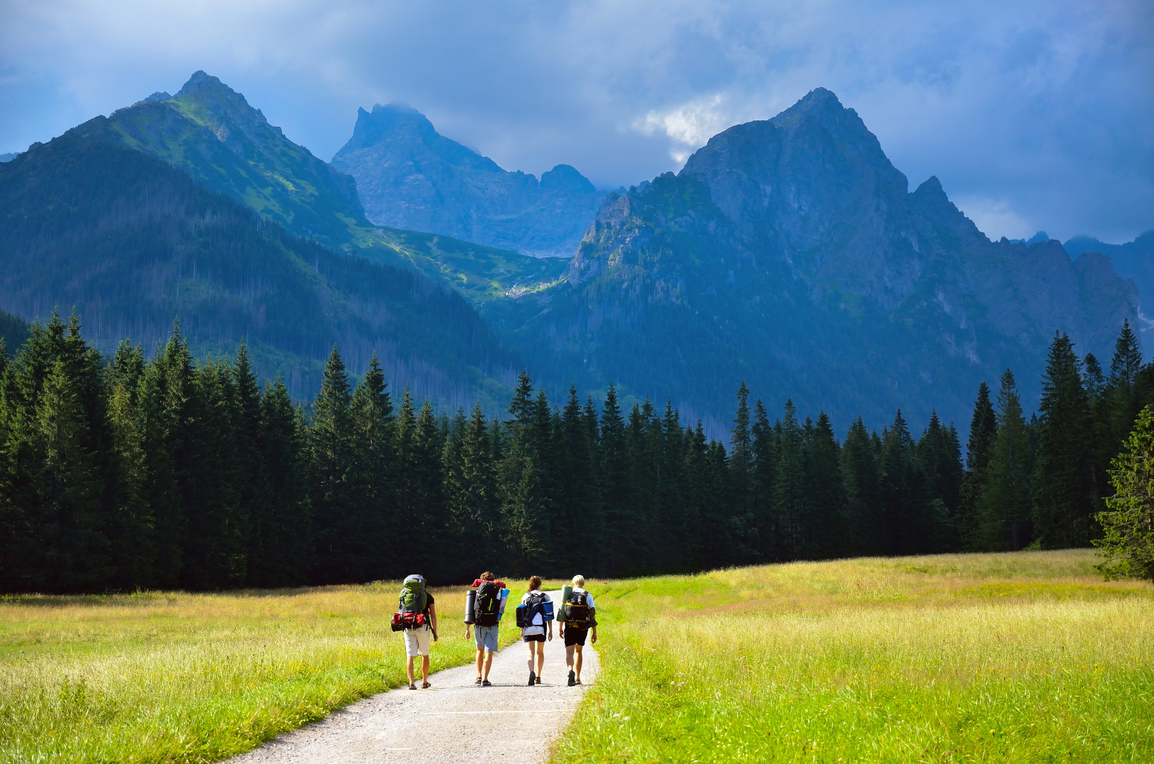 Group of Hikers